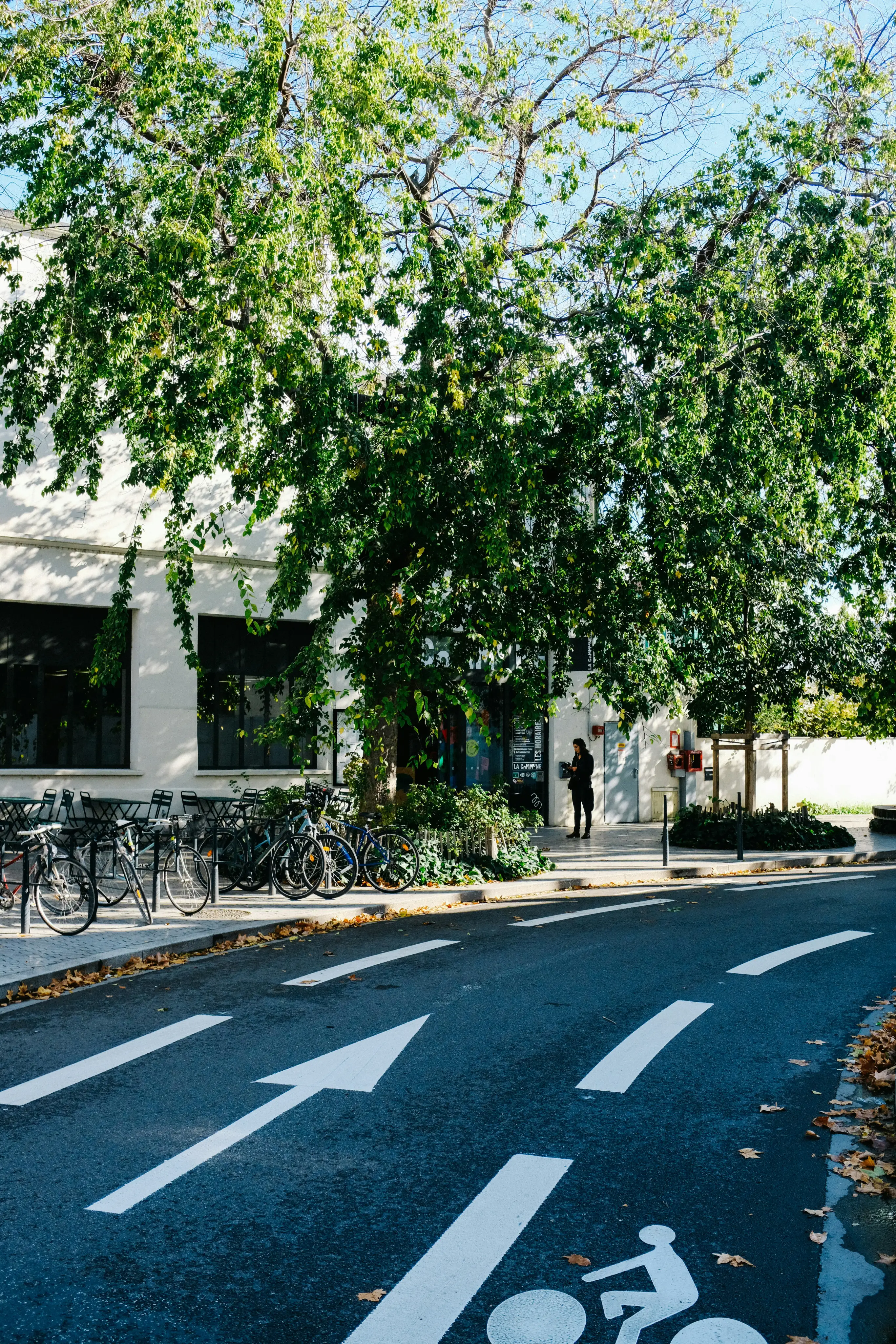 Pedestrian zones - Shared Space